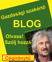 Gazdas&aacute;gi szak&eacute;rt� blog