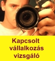 Kapcsolt v&aacute;llalkoz&aacute;s vizsg&aacute;l&oacute;