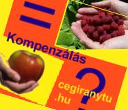 Kompenz&aacute;l&oacute; lev&eacute;l minta